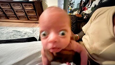 1 hour of memes but you will laugh every second