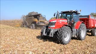 Corn Harvest 2017 in France - Moisson de Maïs Waxy 2017 New Holland Cr 8080 ~ Massey Ferguson
