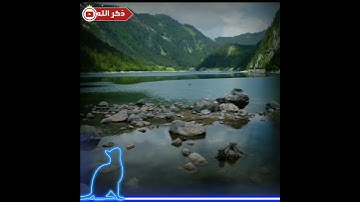 (وَأَن لَيسَ لِلإِنسانِ إِلّا ما سَعى) تلاوة خاشعة إسلام صبحى