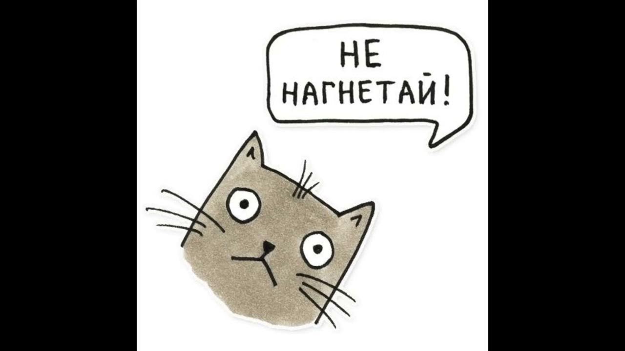 компрессор supercharger v8. приколы про август месяц. нагнетать обстановку. не нагнетай мем. нагнетающие слова.