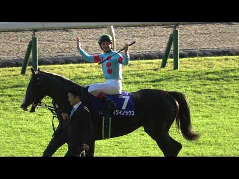 【現地4K撮影】第168回天皇賞（秋）【ノーカット】 YouTube