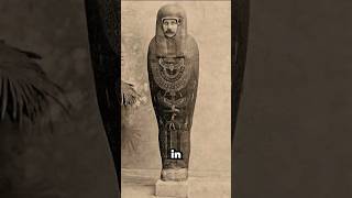 RARE PHOTOS You've Never Seen Before #shorts RARE PHOTOS You've Never Seen Before #shorts