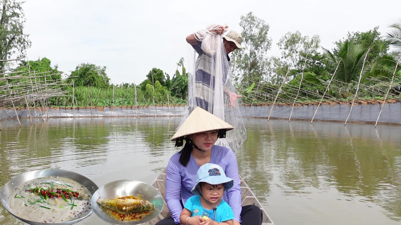 Cùng Cha Ra Ao Chài Cá dính Cá Chày Bự làm món Cá Chày Chưng Dừa Thơm ...