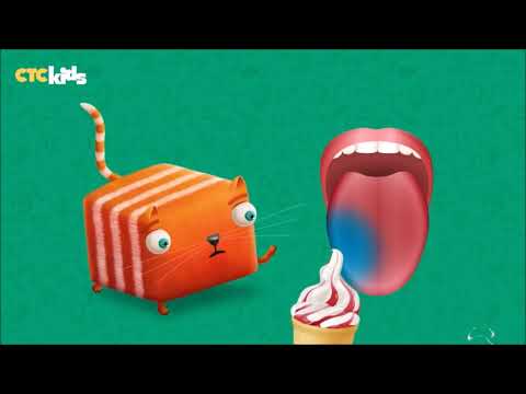 შეგრძნების ორგანოები