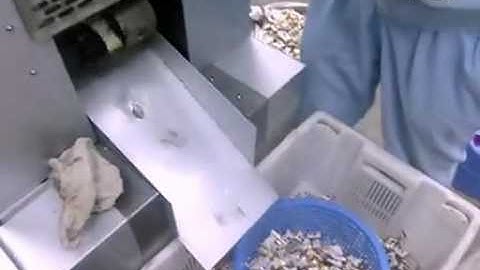 candy flow wrapper, candy flow wrapping machine, candy packaging machine