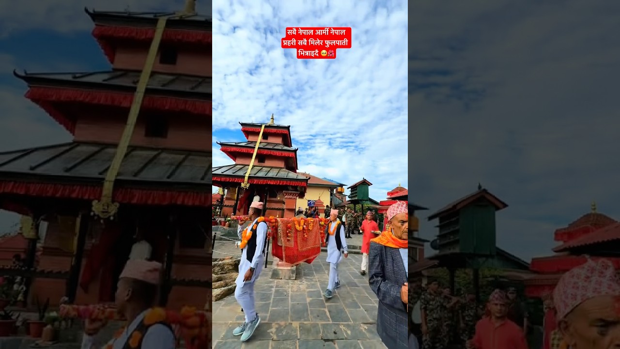 दशैको फुलपाति भित्राईदै नेपालीको परम्परा संकृती ॥सबै मिलेर हाम्रो रिती रिवाज कला संकृतीको संरक्षणगरौ