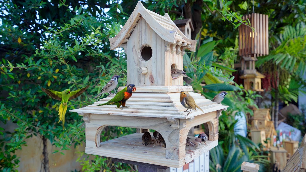 Build Most Modern Wooden Castle Bird House Bird Feeder and Feeding the