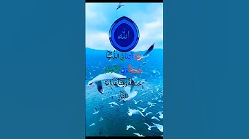 ربنا آتنا في الدنيا حسنة وفي الآخرة حسنة وقنا عذاب النار 💙❤️ حالات واتس اب قرآن كريم Quran Status