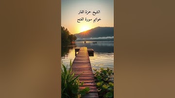 القارئ حمزة الفار🍃 خواتيم سورة الفتح { محمد رسول الله والذين معه أشداء على الكفار رحماء بينهم }