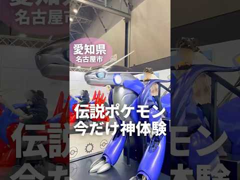 【期間限定】伝説のポケモンに乗れる⁉️今だけの神体験✨