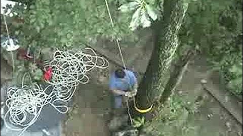 Ropewalker ascending training