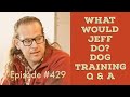 E collars for counter surfing | Fearful dog tips | What Would Jeff Do? Dog Training Q&A #429 E collars for counter surfing | Fearful dog tips | What Would Jeff Do? Dog Training Q&A #429