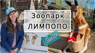 ВЛОГ. Лимпопо, зоопарк в Нижнем Новгороде. Обзор от трехлетнего парня и КО 🐅
