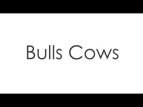 Bulls Cows Code Breaker