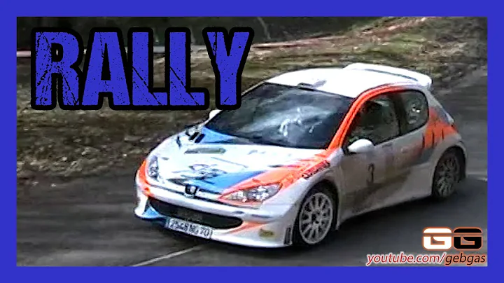 Peugeot 206 S16 - Steve MOUREY - RALLY - 2010 - Fl...