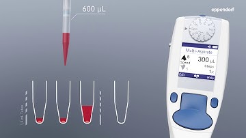 Eppendorf - LabTeamet - Multi aspiration Eppendorf Xplorer® plus electronic pipettes