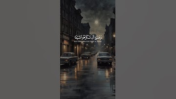 #تلاوة_خاشعة #قران_كريم #المصحف #راحة_نفسية #صوت_جميل