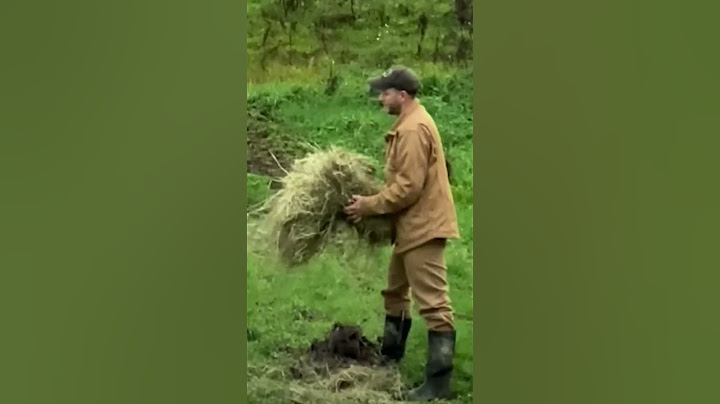 Couple Moves To New Home That Comes With A Stray Cow