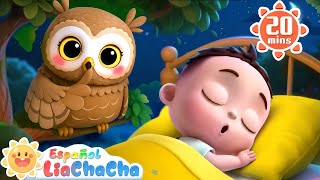 Si Tienes Sueño | Canción de Cuna | LiaChaCha en Español - Canciones Infantiles