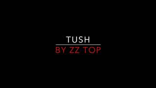 Video thumbnail of "ZZ Top - Tush [1975] Lyrics"