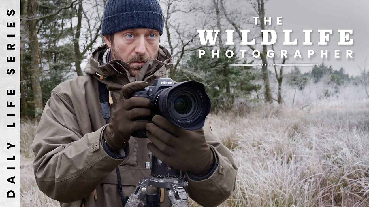 A Day With Landscapes and Wildlife - Photographing the Beauty of Winter