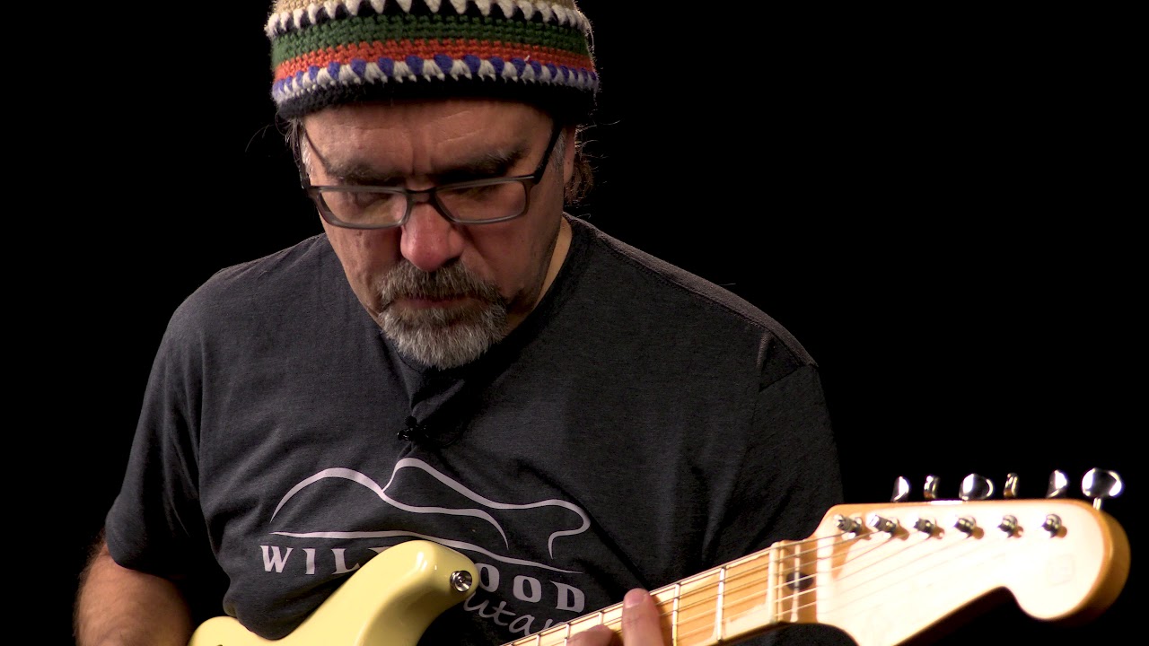 Fender Eric Johnson Thinline Stratocaster  •  Wildwood Guitars