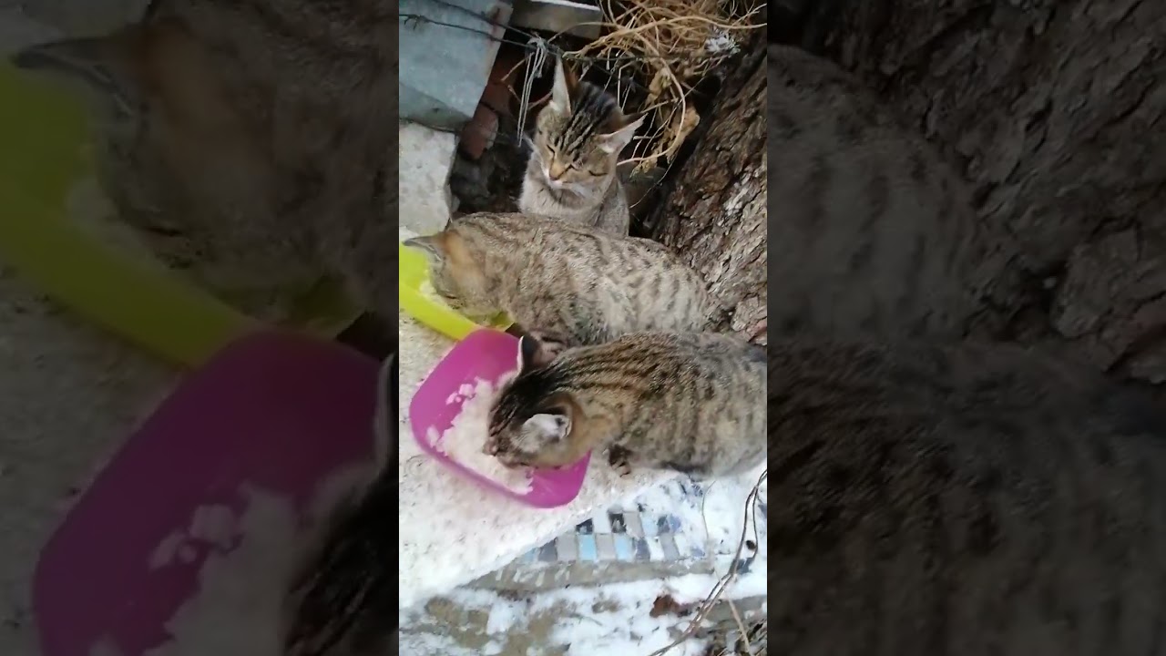 December 4, 2024   -4°