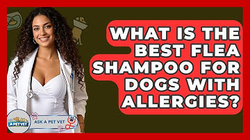 What Is The Best Flea Shampoo For Dogs With Allergies? - Ask A Pet Vet