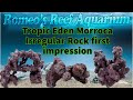 Trying out tropic eden morroca rock from premium aquatics