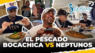PESCADO DE BOCA CHICA VS. NEPTUNOS 😋 EL DOTOL, LA SALSA Y MORAO