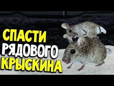 Rat Simulator - СИМУЛЯТОР ЧУМНОЙ КРЫСЫ (обзор и прохождение на русском)