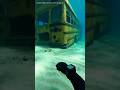 Diver Opens Sunken School Bus #UnderwaterPOV #MorayEel #SunkenBus