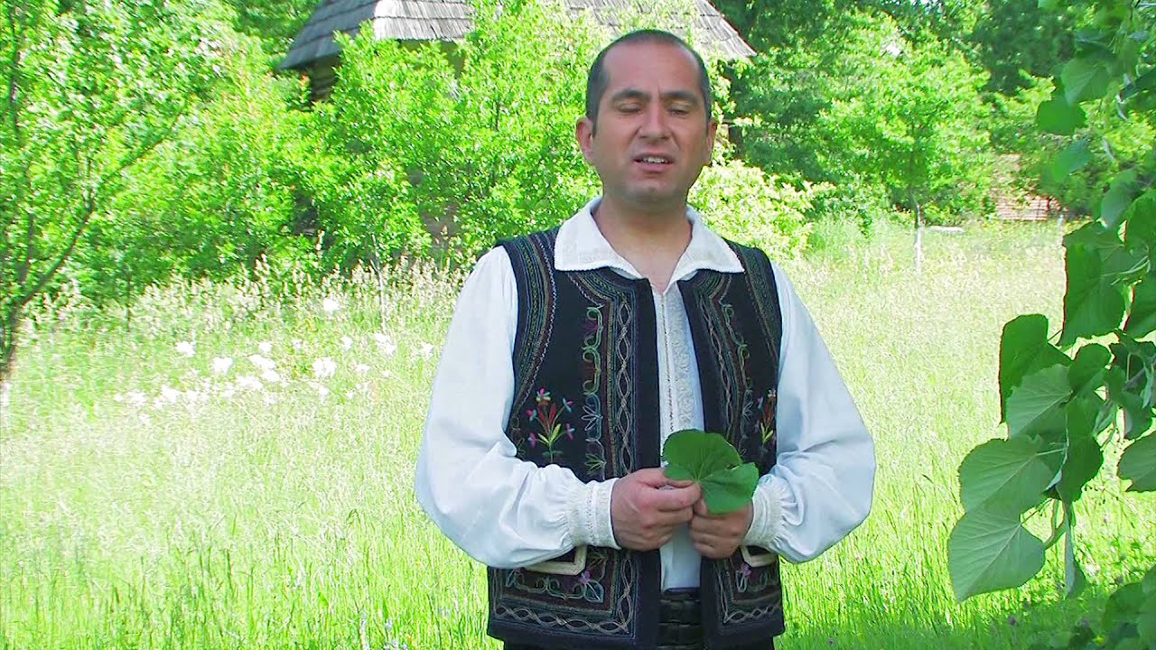 Liviu Dica   Tinerete, tinerete