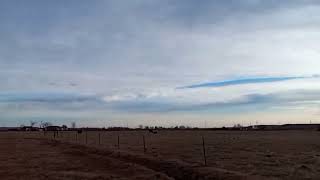 Meadowlarks In February
