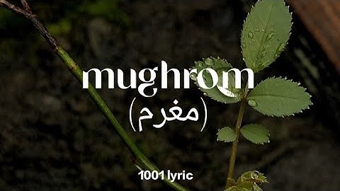 MUGHROM- Ai Khodijah feat Liza Not Tujuh | LIRIK + TERJEMAHAN #mughrom
