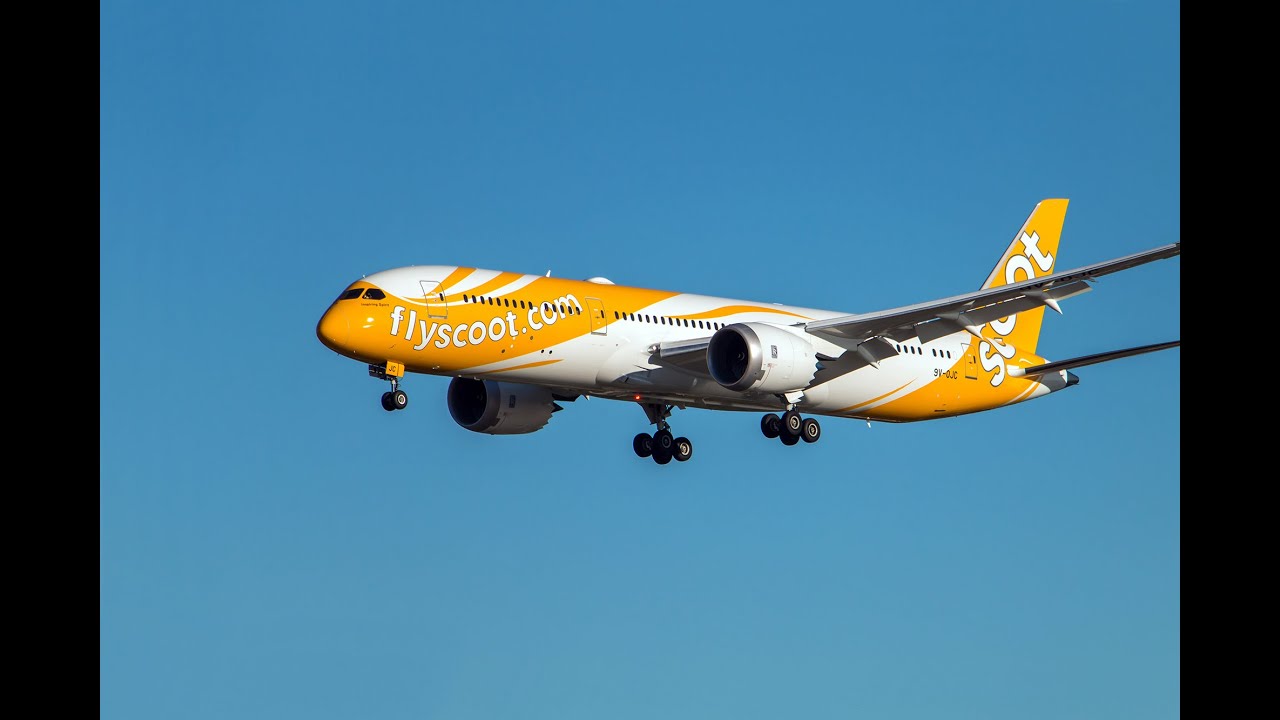 Scoot TGW898 | Singapore - Taipei | QualityWings 787-9 | P3D V5.3 | Vatsim