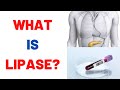 What is lipase blood test normal levels