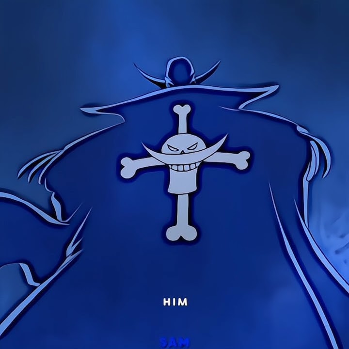 BUGGY KNOWS THE TRUE STRENGTH OF WHITEBEARD‼️