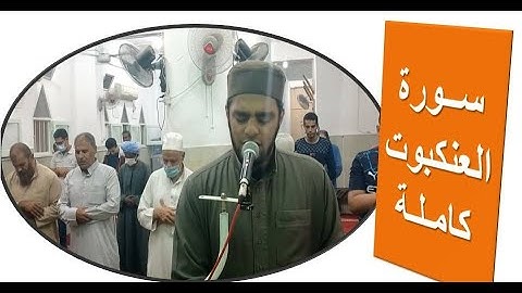 سورة العنكبوت كاملة - صلاة  العشاء - الخطيب الحنفي