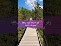 ولو أصبحت غريب ا بين الناس فاصبر على الغربة الزم طريق الرسول ﷺ ولا تستوحش الشيخ صالح الفوزان
