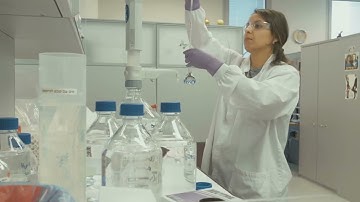 BioGRID: Resource Overview