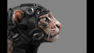 Crazy Robot Cat.Кошка Робот. Crazy Robot Cat.Кошка Робот.