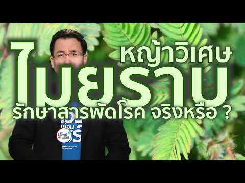 วีดีโอ: ปวดหลังทุ่งหญ้า: คำอธิบาย, สรรพคุณทางยา, ใช้ในยาแผนโบราณ