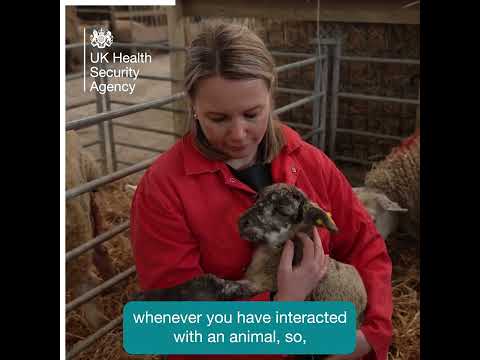 Stay safe and well when visiting farms