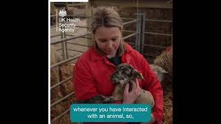 Stay safe and well when visiting farms