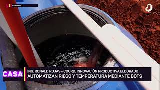 #TuCiudadNuestraCasa: apoyo tecnológico para cultivos de hortalizas