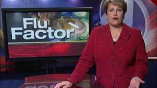 The Flu Factor