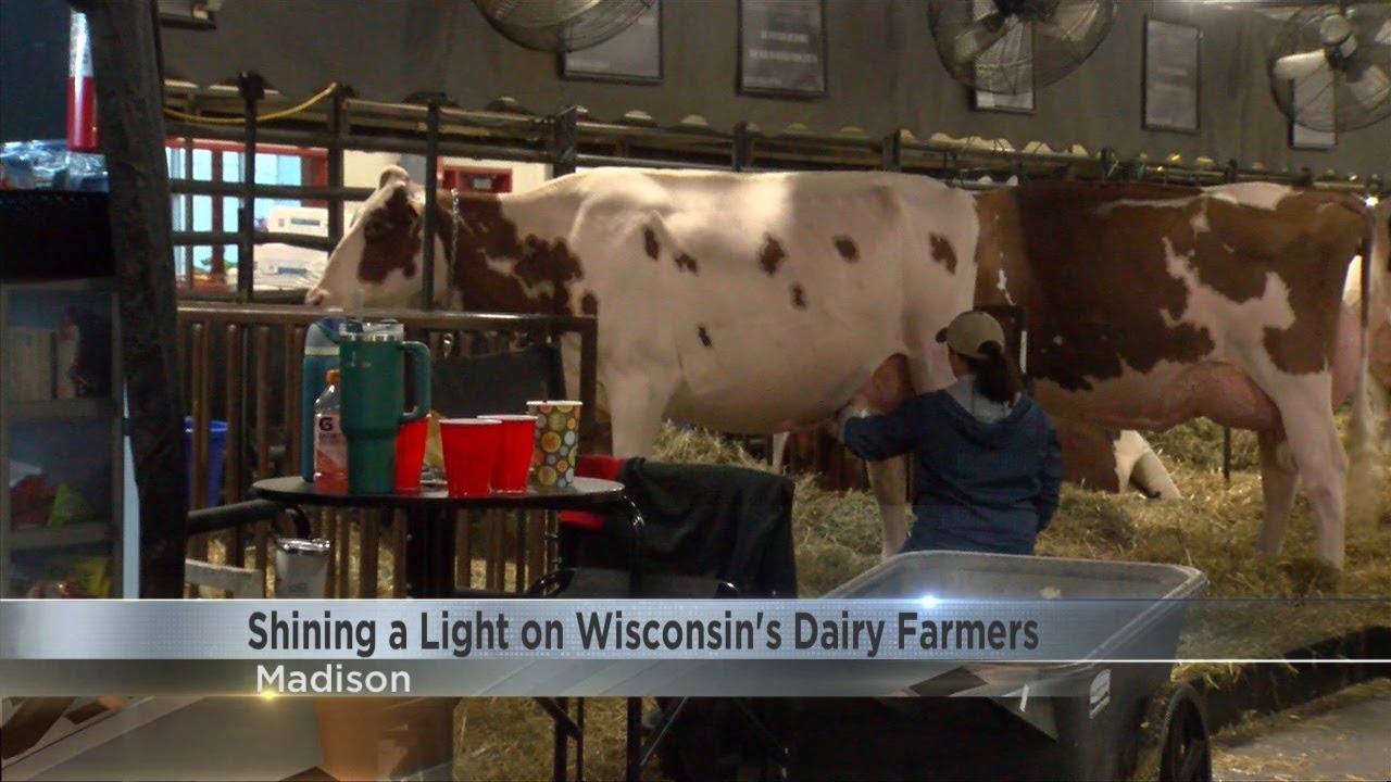 Dairy Farmers of Wisconsin launch ‘Born to Dairy’ campaign at World Dairy Expo