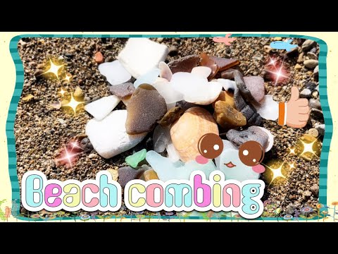 ＃３【ビーチコーミング】海で宝探し！！シーグラスや貝を採集する / ASMR / sea glass 【Beach combing】