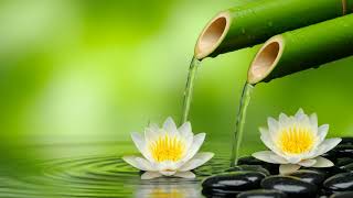 Zen Piano & Flowing Streams – Serene Sounds for Rest, Mindfulness, Yoga, and Inner Serenity